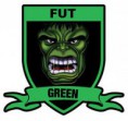 /album/alguns-escudos/fut-green-jpg/